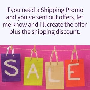 Shipping Promos Fridays + Sundays For Serious Purchases Only